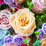 BEAUTIFUL BLOOM BOWL