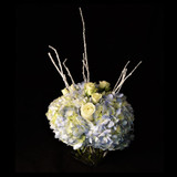 Winter Wonderland Wedding