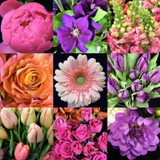 Now Playing at Kelilabee Flower Company