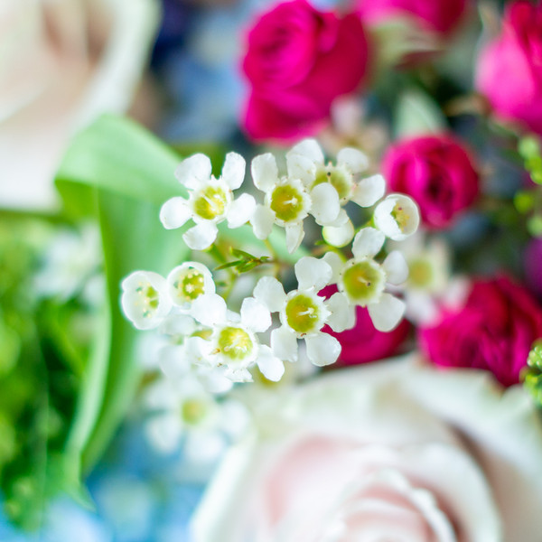 BEAUTIFUL BLOOM BOWL