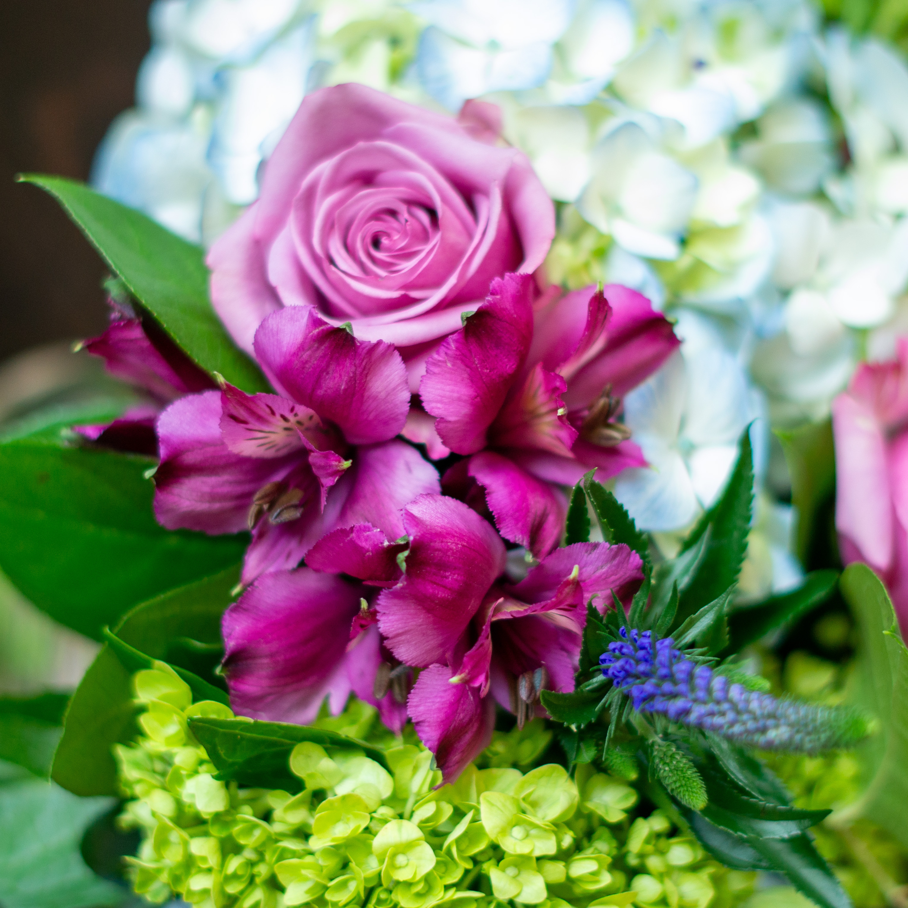 Peach valentines day flower arrangement for delivery to Charlotte NC. Image is a closeup of a pink rose with a peach center surrounded by peach stock and pink majolika spray roses. 