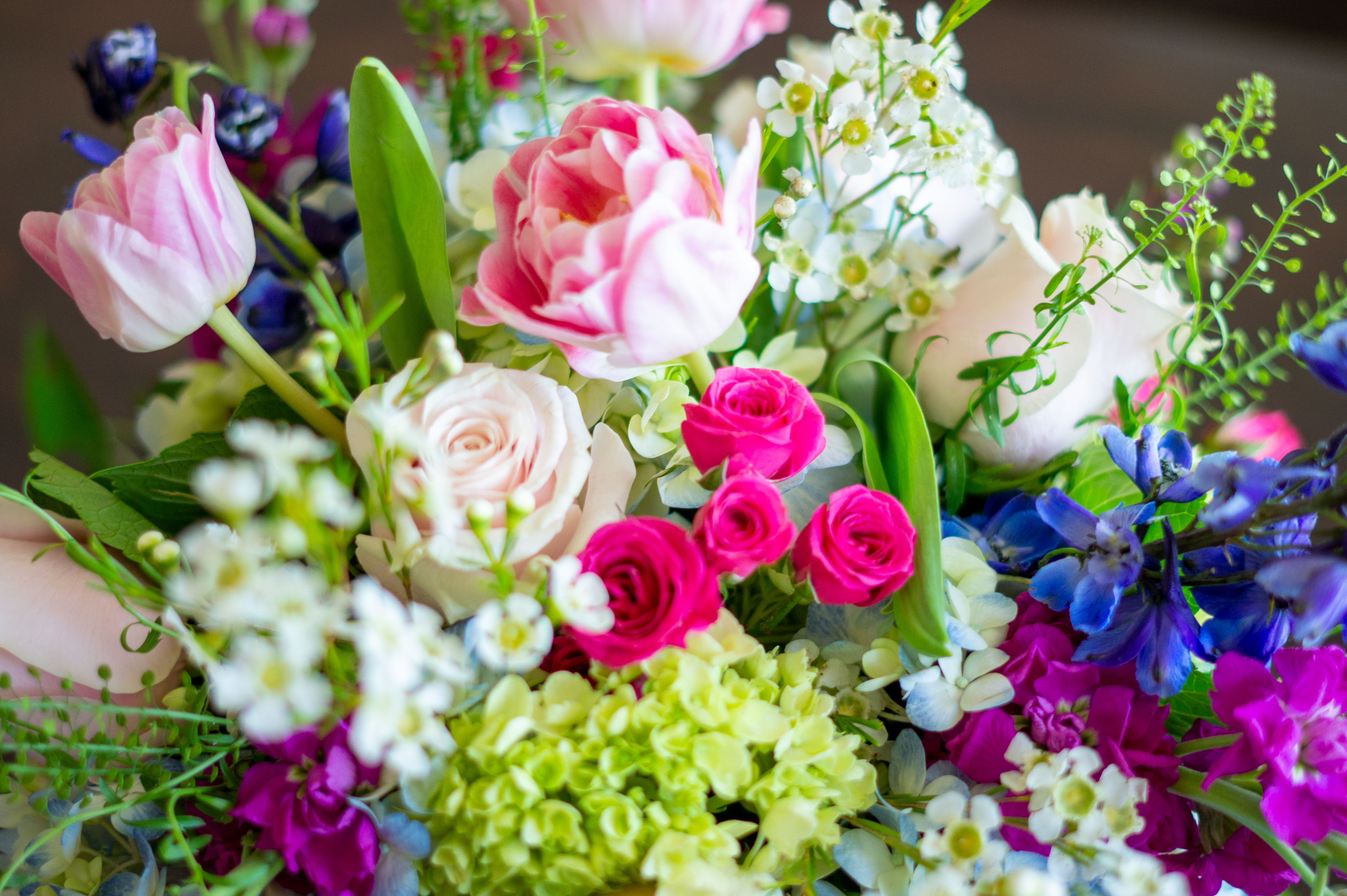 Sample image of a selection of brightly colored blooms including pink tulips, blue delphinium, white wax flower, pink roses, mini green hydrangeas, and magenta stock. Image showcases Nightingale Flower Company's Designer Choice Flower Arrangements for same flower delivery to Charlotte NC.