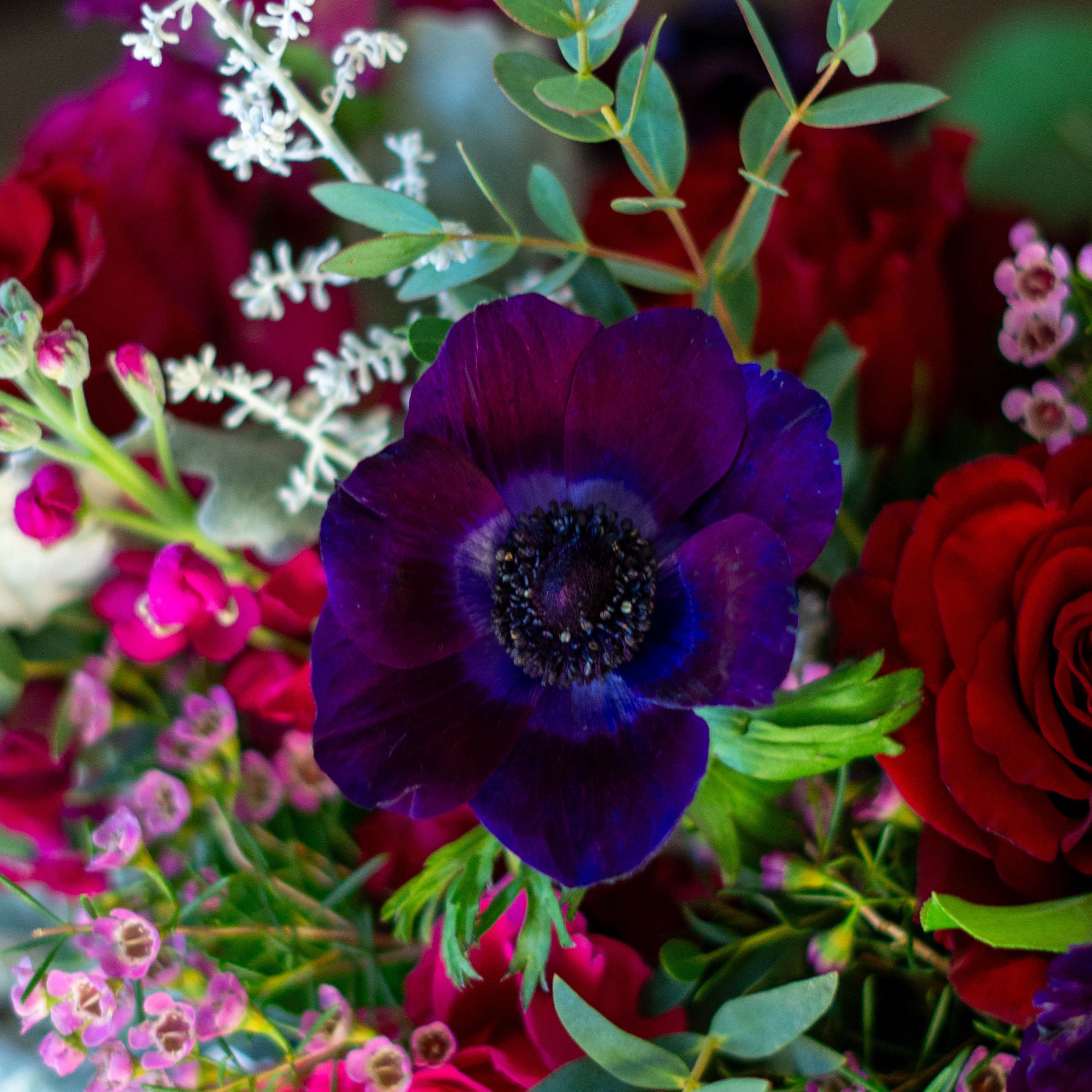 Peach valentines day flowers on a blue tablecloth. Flowers include peach roses, cream lisianthus, peach stock, white hydrangea, pink spray roses, and pink hypericum berries accented with eucalyptus. 