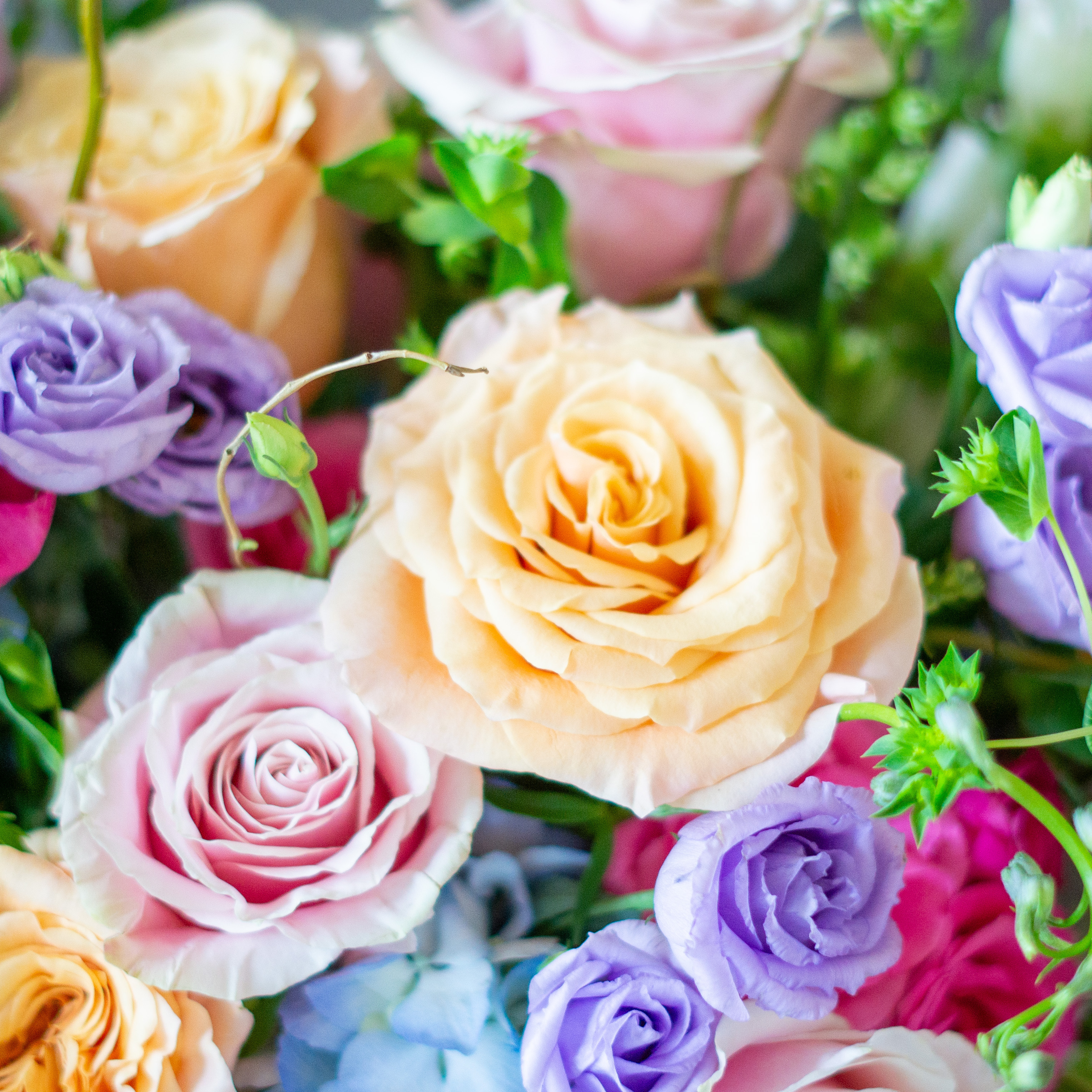 Large Valentines Day flowers for delivery to Charlotte, NC. Image shows a large garden style arrangement of peach roses, peach stock, white hydrangea, cream lisianthus, pink hypericum berries, and pink spray roses accented with spiral eucalyptus and gunni. 