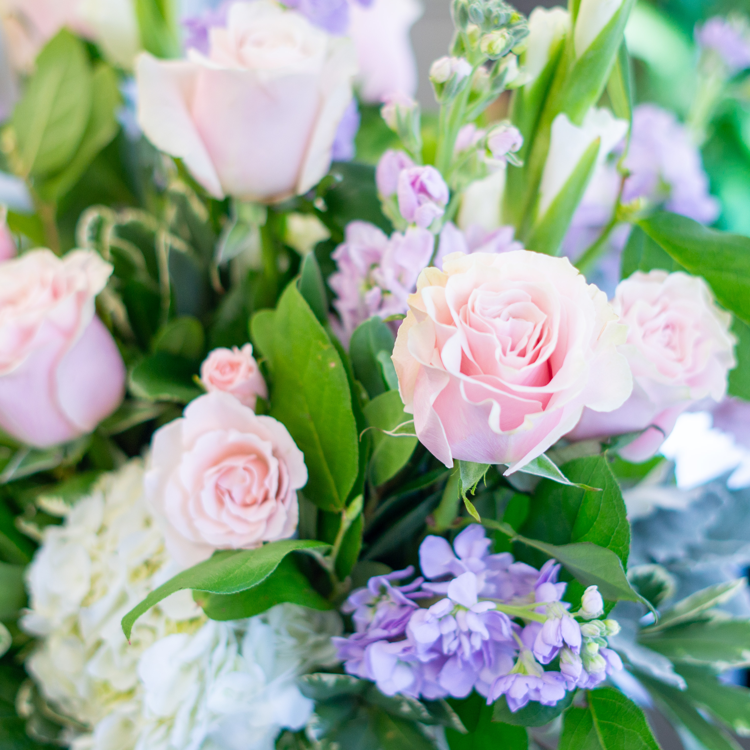 Sample image of a pastel color palette available for same day flower delivery to Charlotte. This image pictures light pink roses, purple stock, and white hydrangeas - the perfect Pastel Flower arrangement.