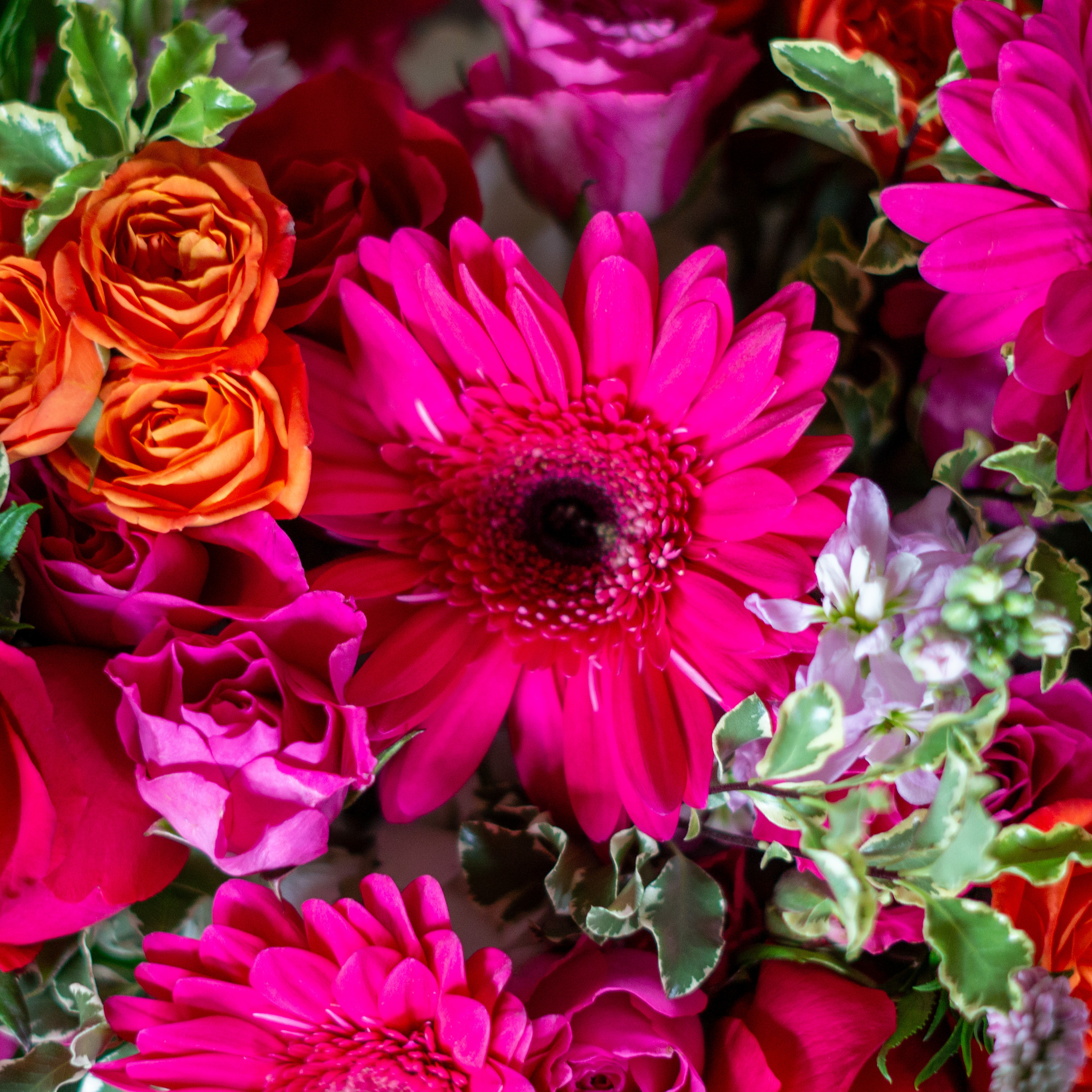 Large Valentines Day flowers for delivery to Charlotte, NC. Image shows a large garden style arrangement of peach roses, peach stock, white hydrangea, cream lisianthus, pink hypericum berries, and pink spray roses accented with spiral eucalyptus and gunni. 