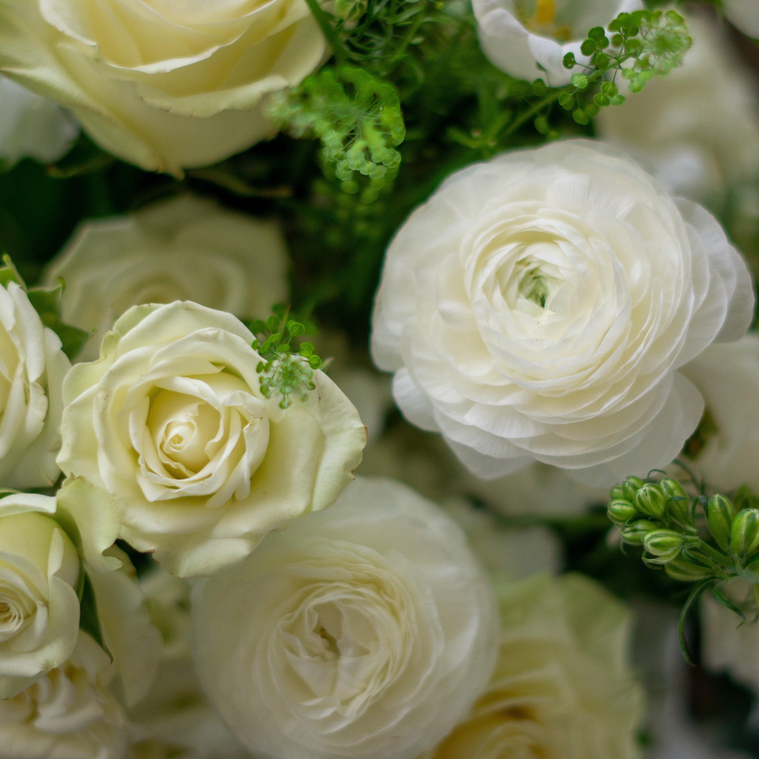 Large Valentines Day flowers for delivery to Charlotte, NC. Image shows a large garden style arrangement of peach roses, peach stock, white hydrangea, cream lisianthus, pink hypericum berries, and pink spray roses accented with spiral eucalyptus and gunni. 
