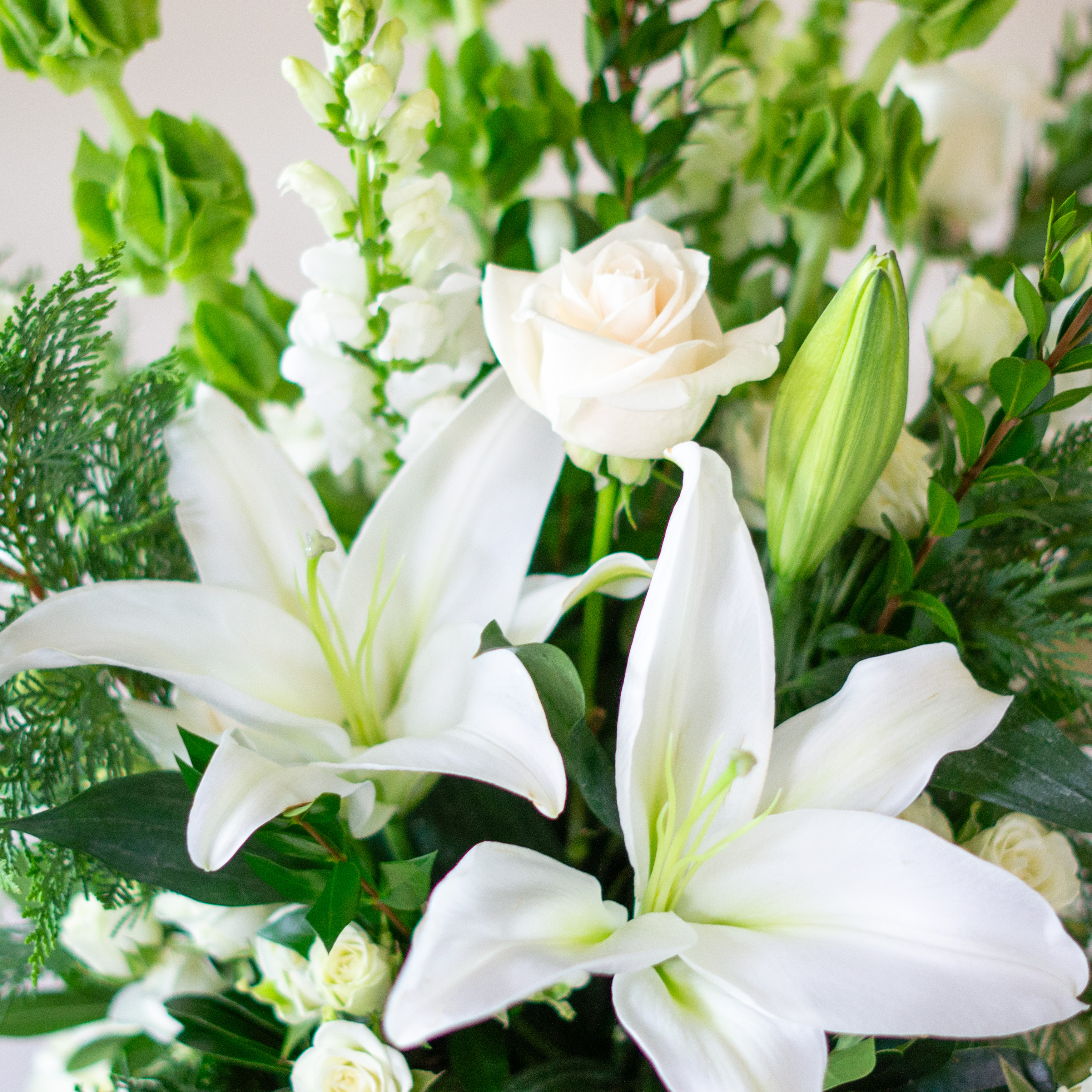 Sample image of an all white flower arrangement including white oriental lilies, white roses, white snapdragons, white spray roses, and various greens. 