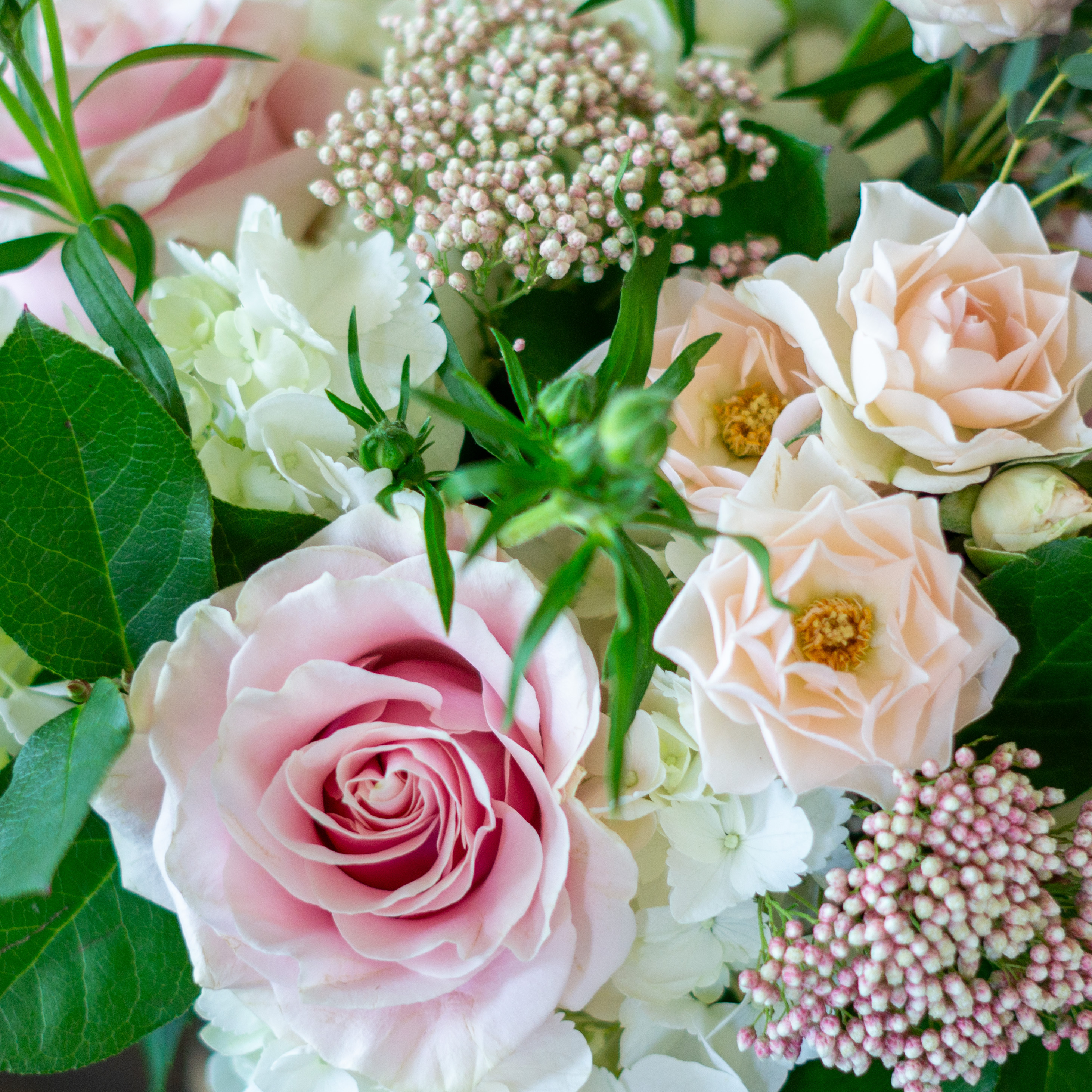 Sample image of Nightingales monochromatic color palettes available for same day delivery to Ballantyne and Charlotte. Close up image of pink flowers including pink roses and pink snapdragons.