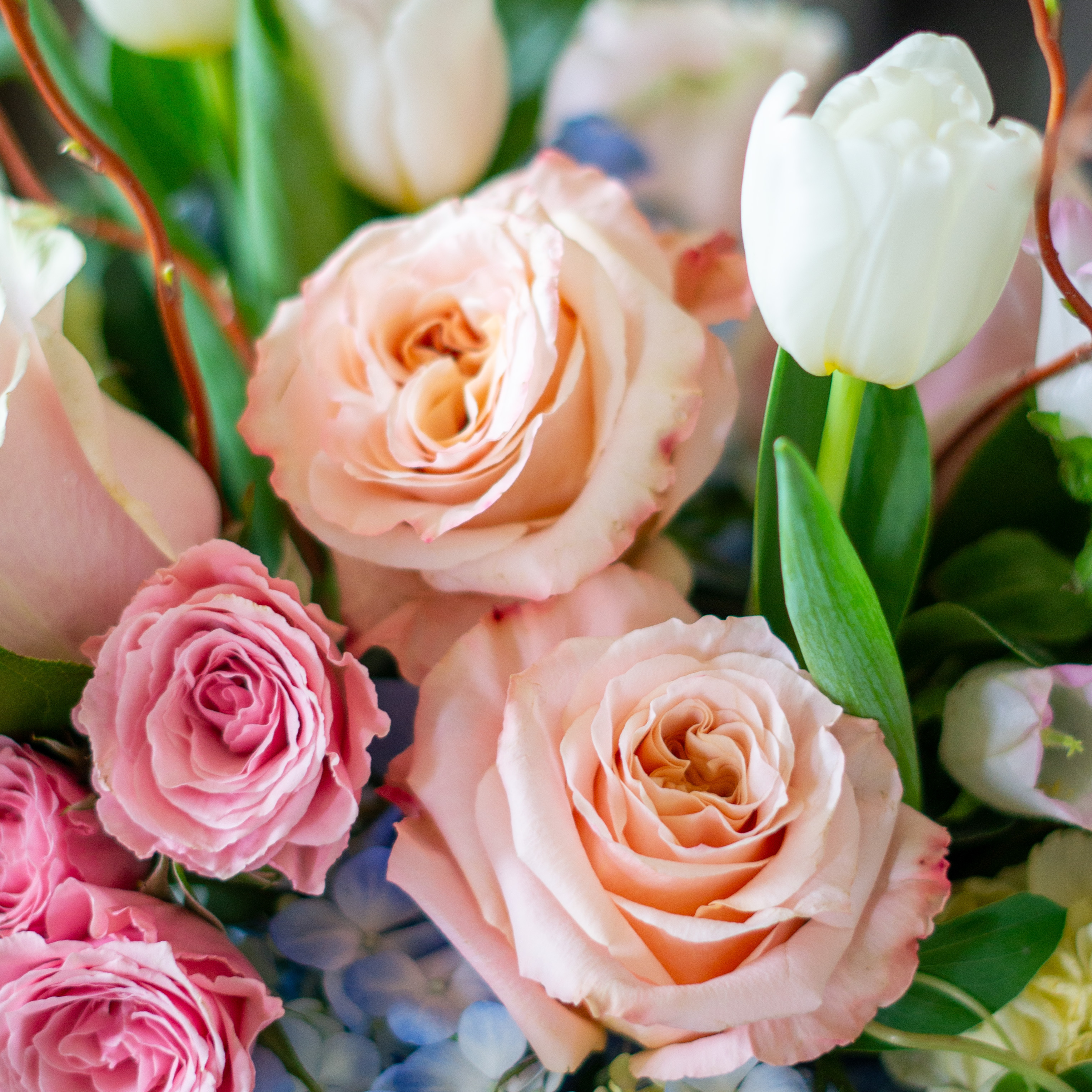 Peach valentines day flower arrangement for delivery to Charlotte NC. Image is a closeup of a pink rose with a peach center surrounded by peach stock and pink majolika spray roses. 