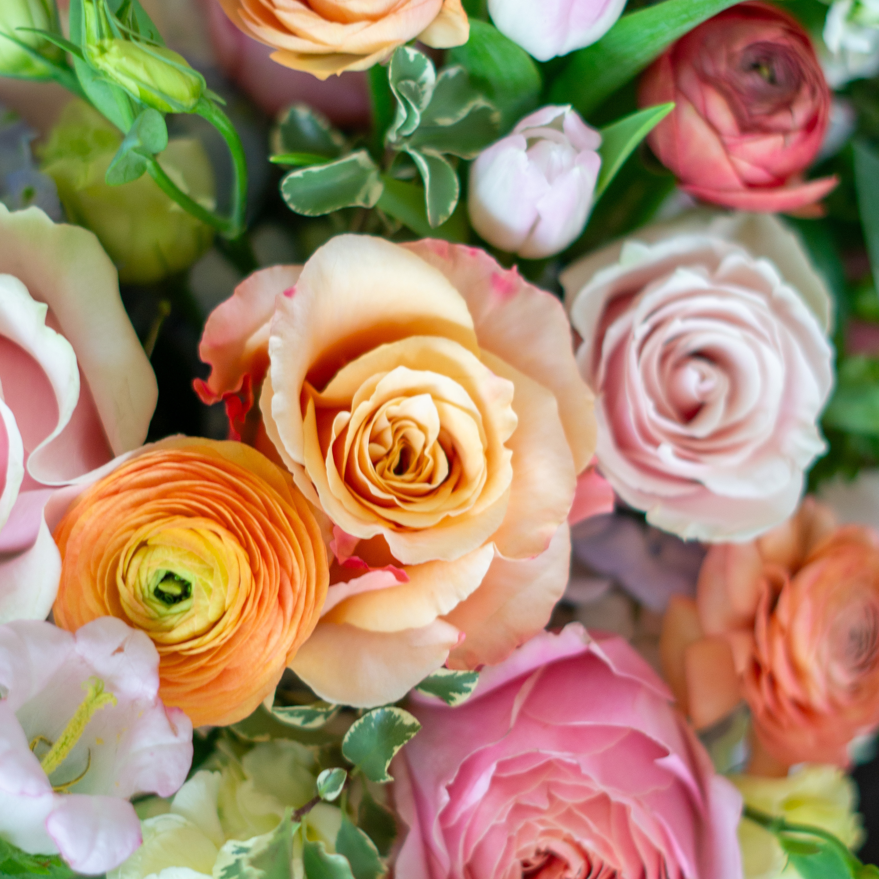 Sample image of a pastel color palette available for same day flower delivery to Charlotte. This image pictures light pink roses, purple stock, and white hydrangeas - the perfect Pastel Flower arrangement.