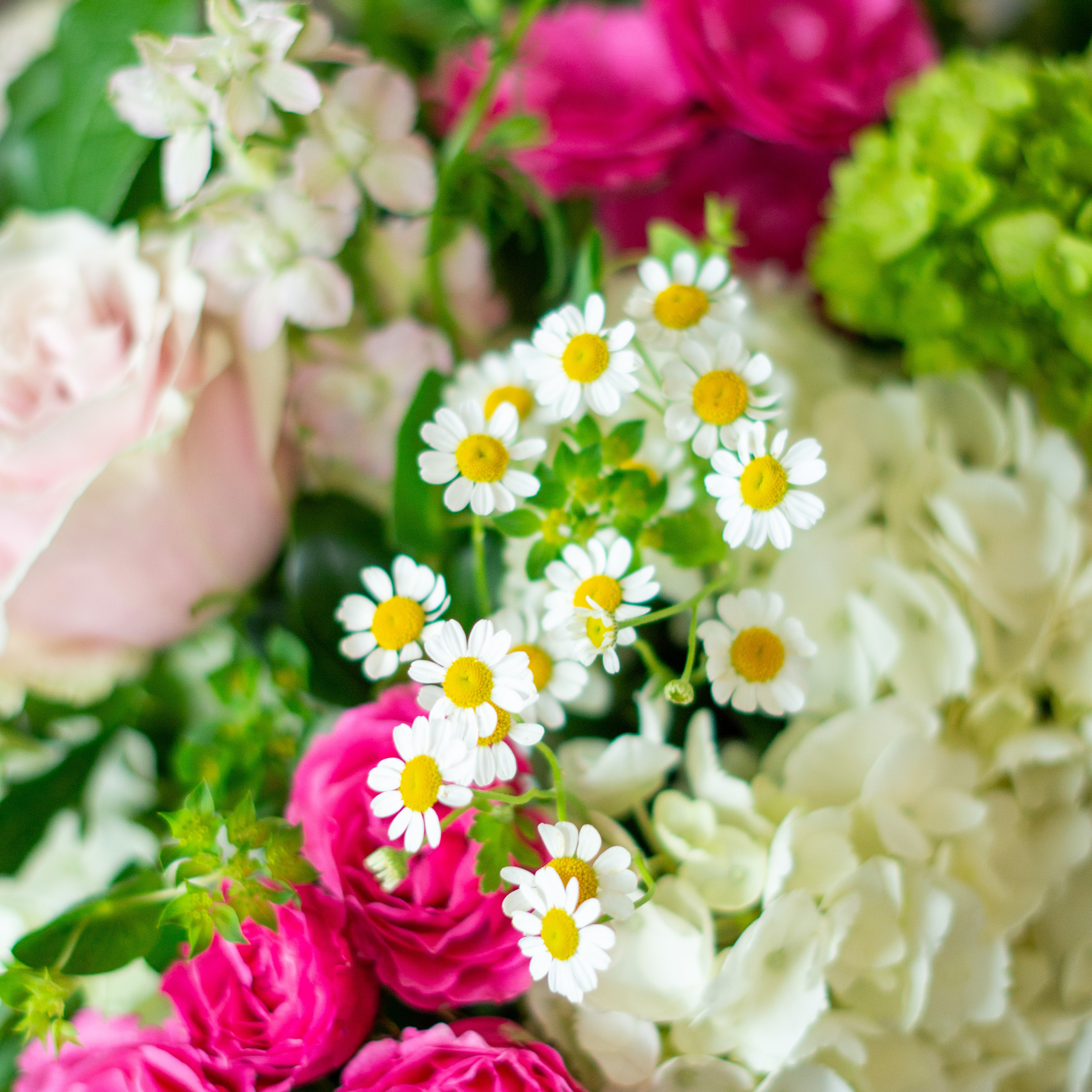 Peach valentines day flowers on a blue tablecloth. Flowers include peach roses, cream lisianthus, peach stock, white hydrangea, pink spray roses, and pink hypericum berries accented with eucalyptus. 