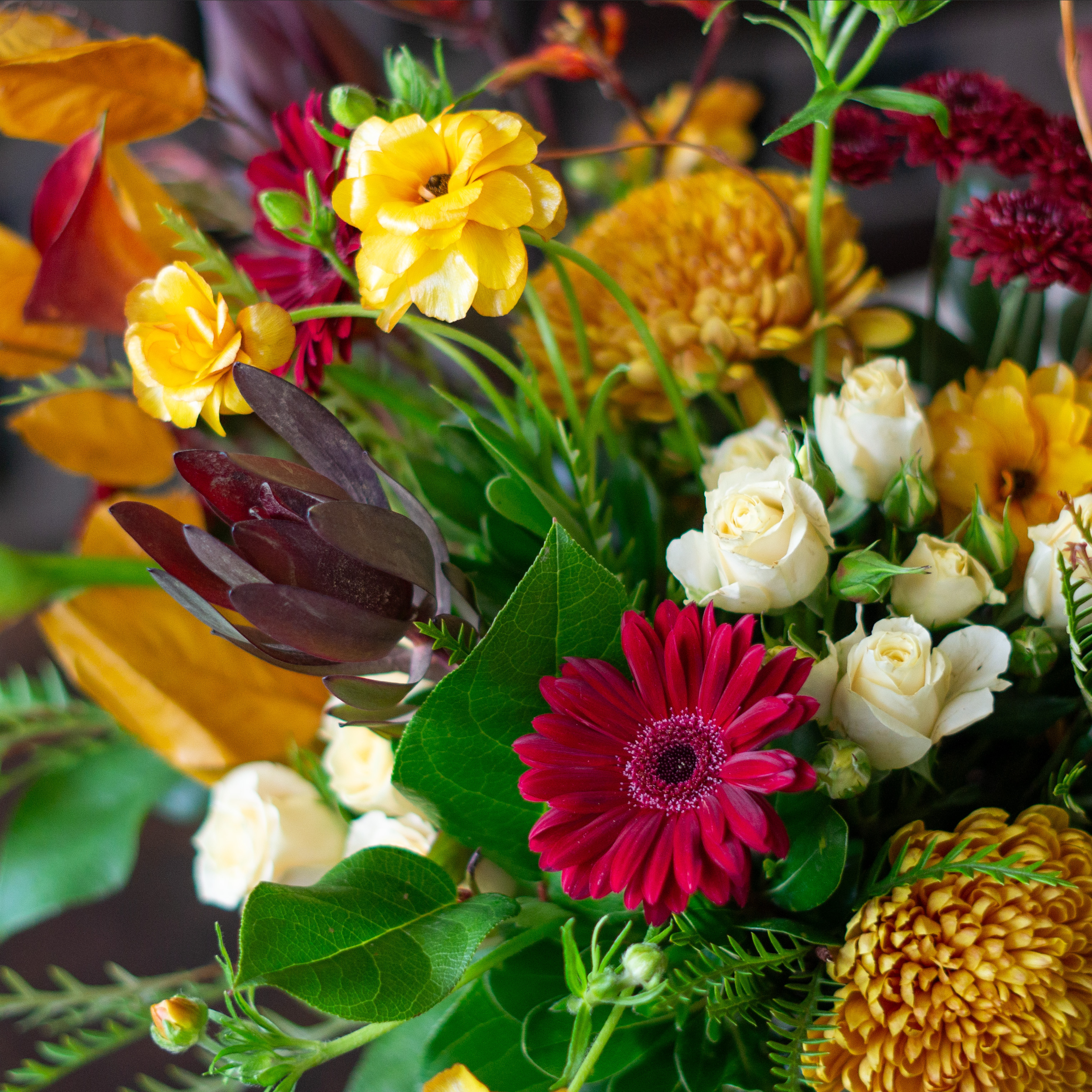 Image of white hydrangea, pink alstroemeria, green lemon leaves, penny cress, and red roses showcasing Nightingale Flower Company's seasonal color palettes for Valentine's Day. 