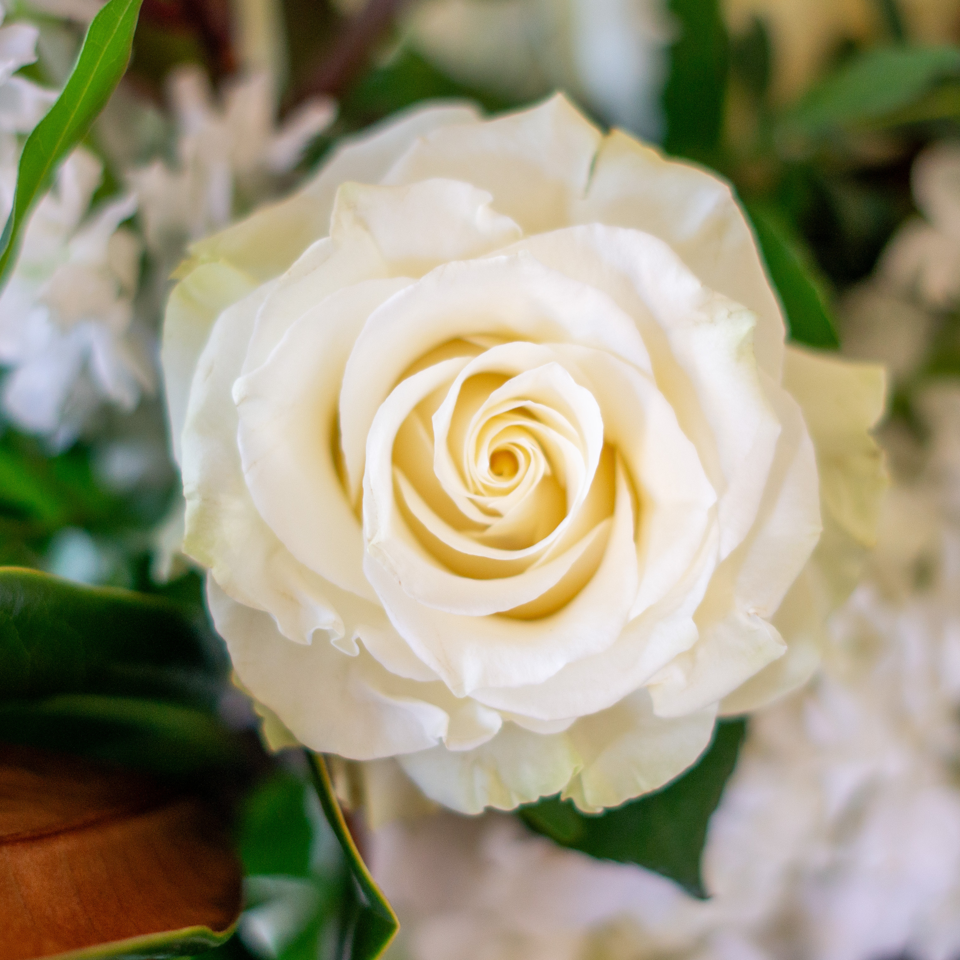 Image of white hydrangea, pink alstroemeria, green lemon leaves, penny cress, and red roses showcasing Nightingale Flower Company Valentine's day flowers for delivery to Charlotte, NC. 