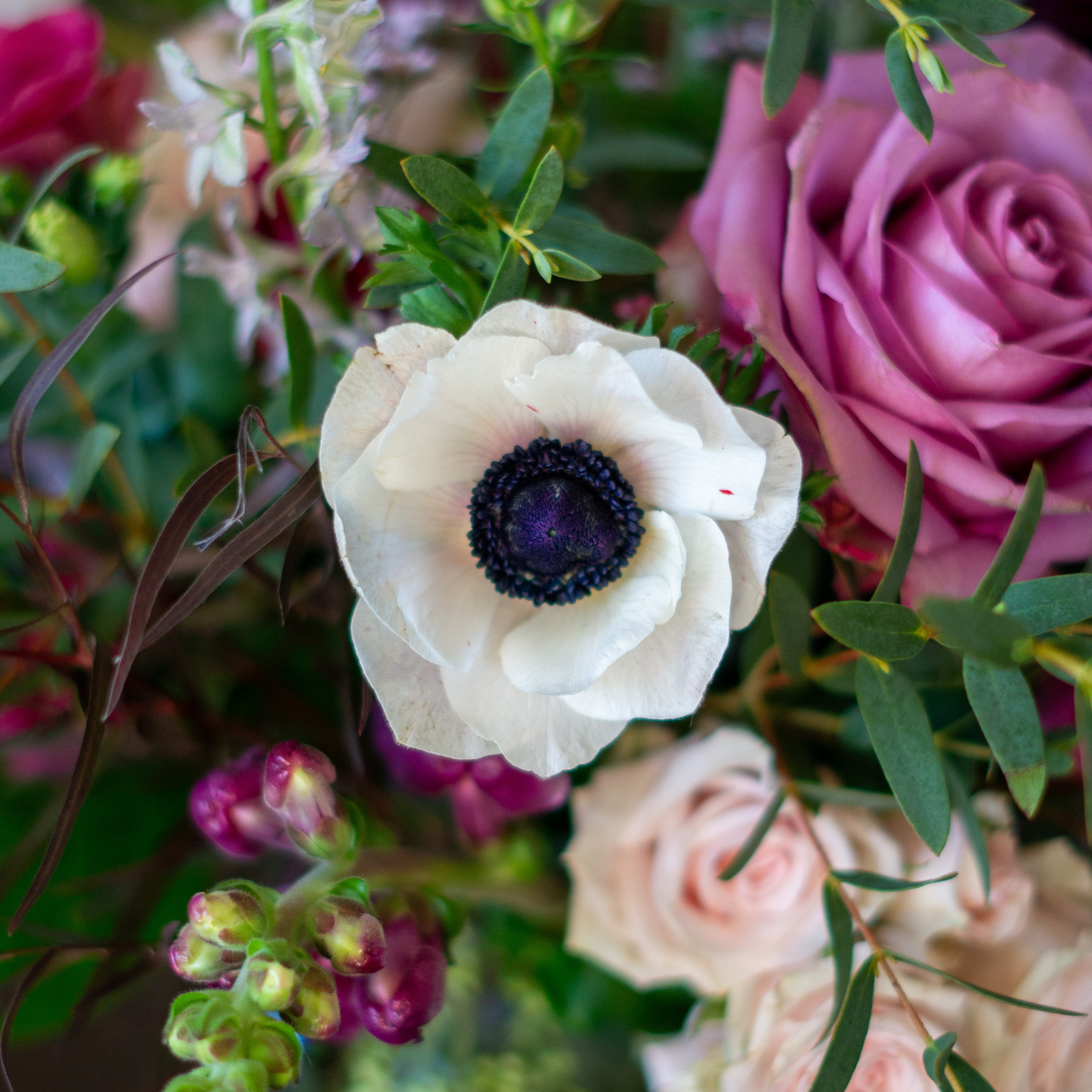 Image of white hydrangea, pink alstroemeria, green lemon leaves, penny cress, and red roses showcasing Nightingale Flower Company's seasonal color palettes for Valentine's Day. 