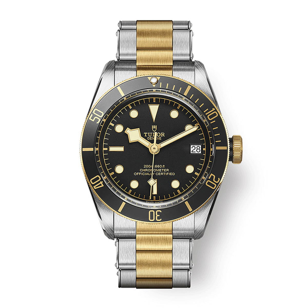 TUDOR Black Bay S&G M79733N-0008-WTDG0233 Product Image