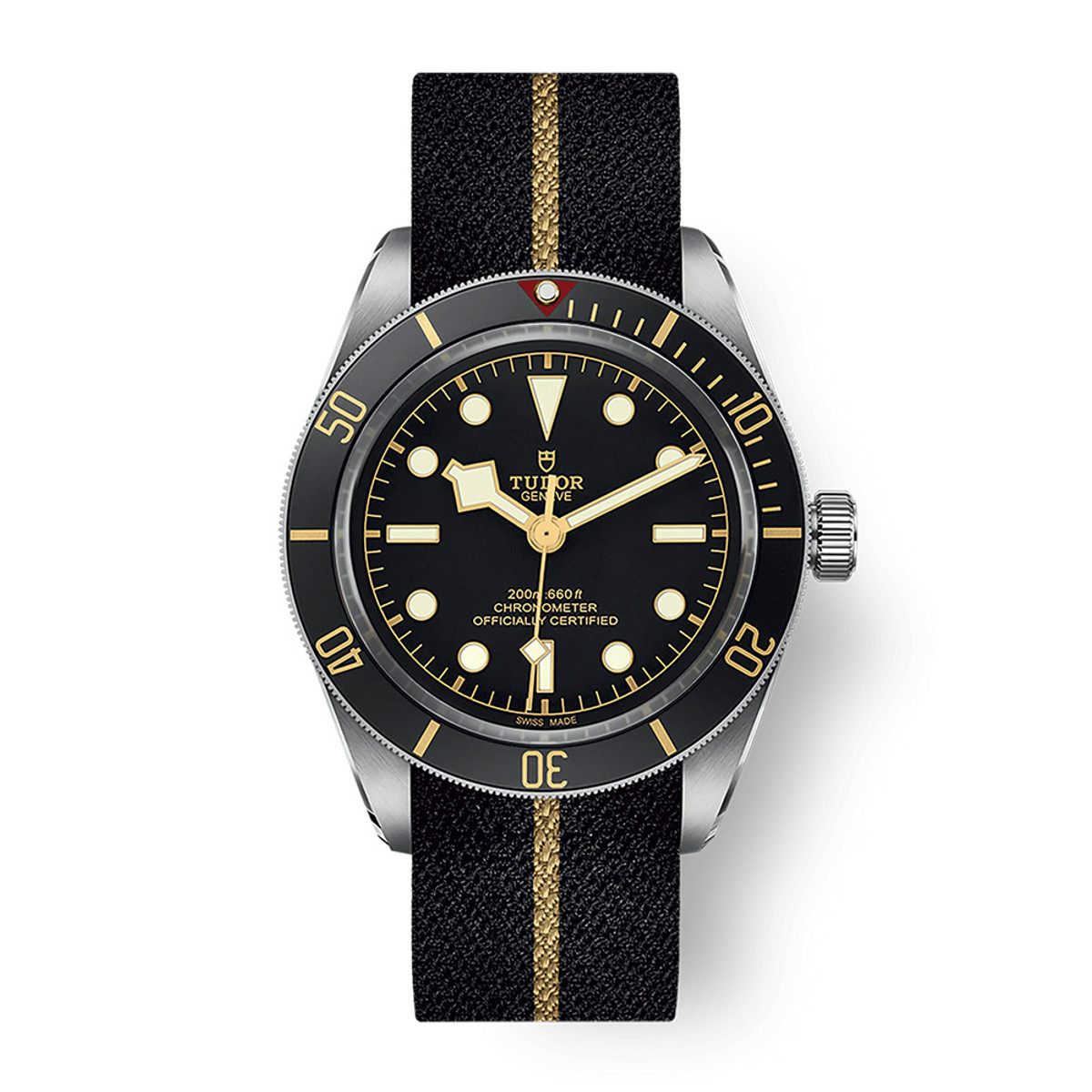 TUDOR Black Bay 58 M79030N-0003-WTDG0167