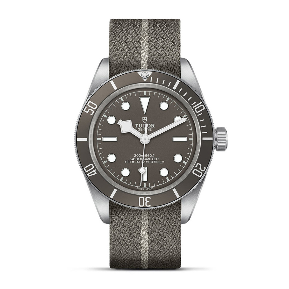 TUDOR Black Bay 58 925 M79010SG-0002-31261 Product Image