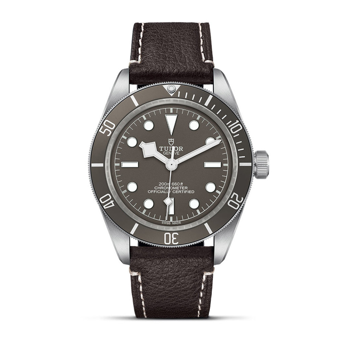 TUDOR Black Bay 58 925 M79010SG-0001-31275