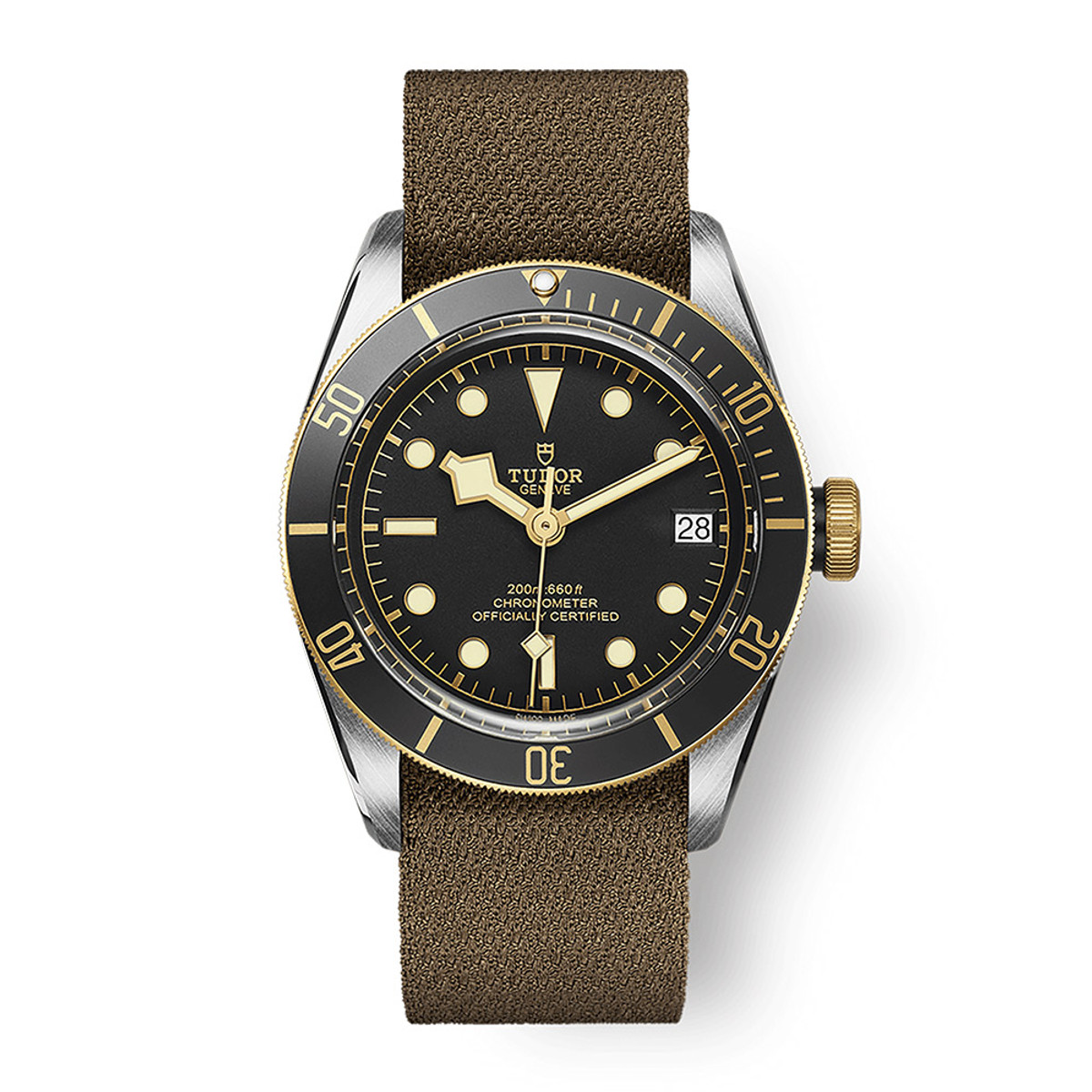 TUDOR Black Bay S&G M79733N-0005-33883