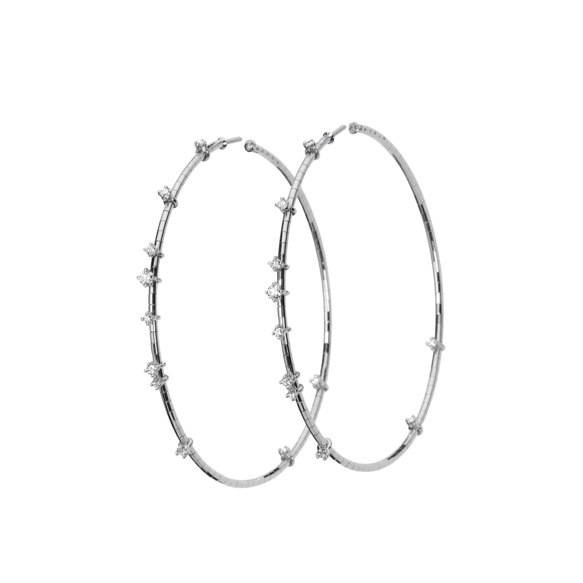 Mattia Cielo 18K White Gold Diamond Hoop Earrings-53164 Product Image