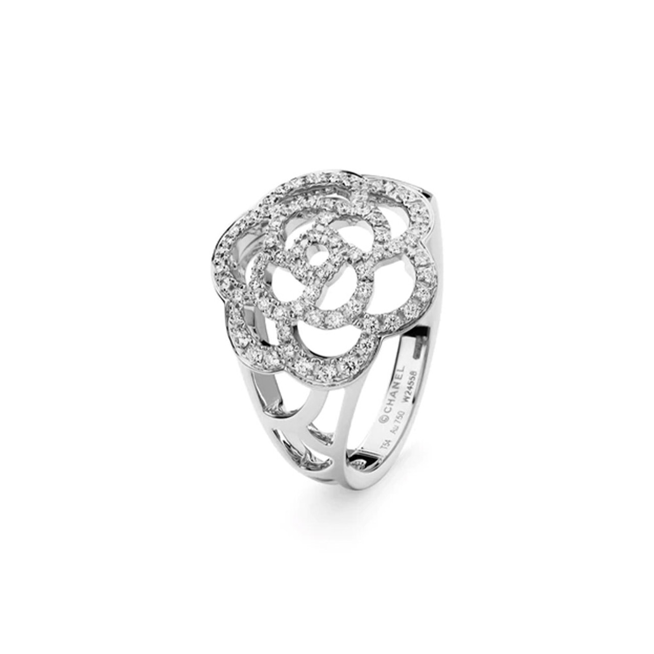 Camelia ring shop