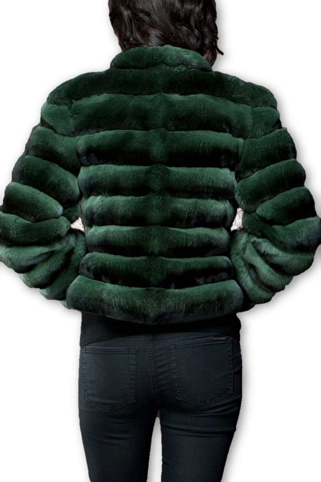 back view of green chinchilla coat with low cut collar , waist length back view of green chinchilla coat with low cut collar , waist length