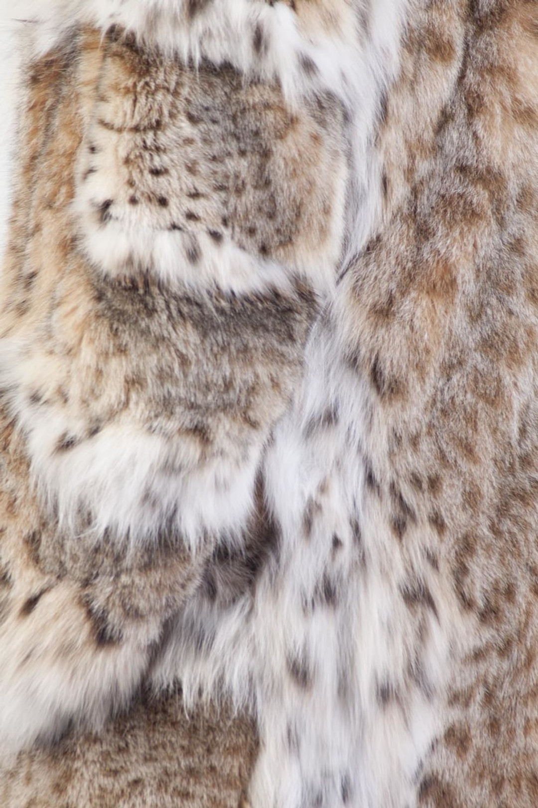 close up view of lynx fur coat with emphasis on color and texture of lynx  fur coat