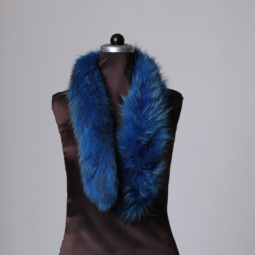 Blue Snowtop Fox Trim