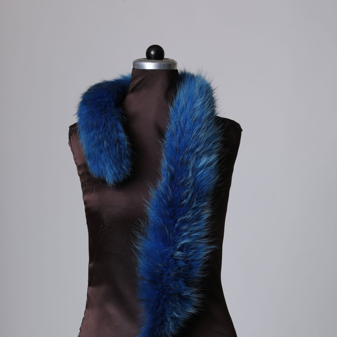 Blue Snowtop Fox Trim