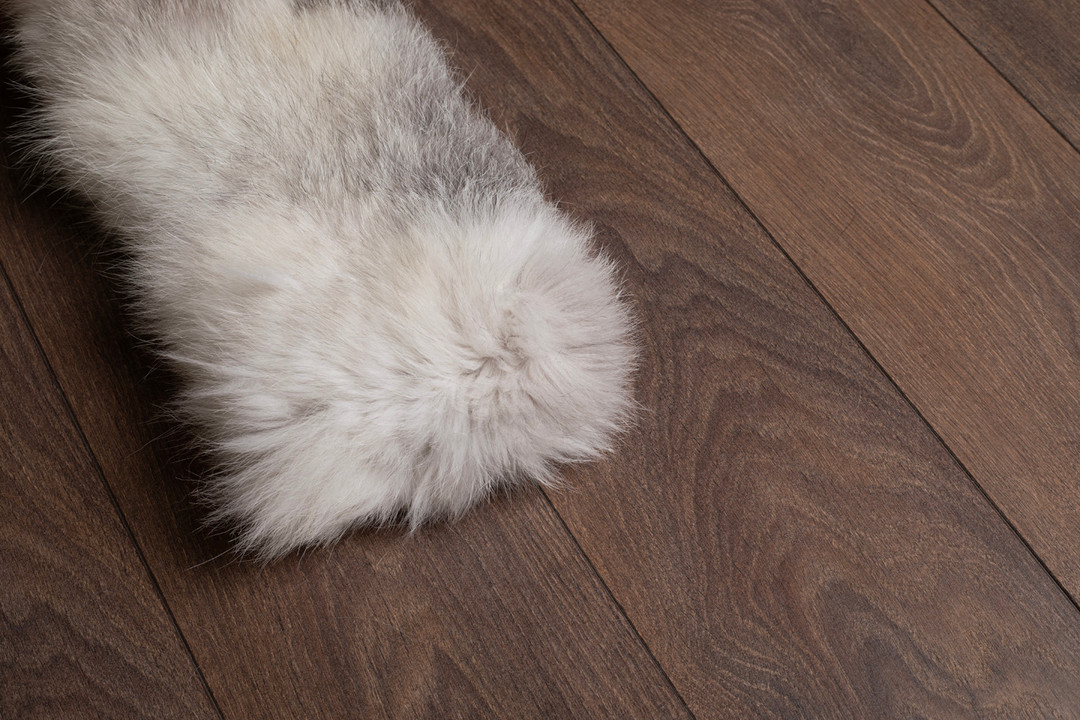 Platinum Fox Fur Collar  Platinum Fox Fur Collar