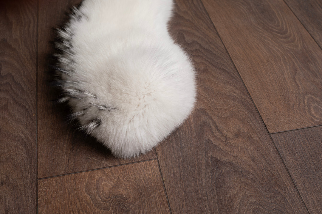 White Fox Fur Collar Silver Tips White Fox Fur Collar Silver Tips