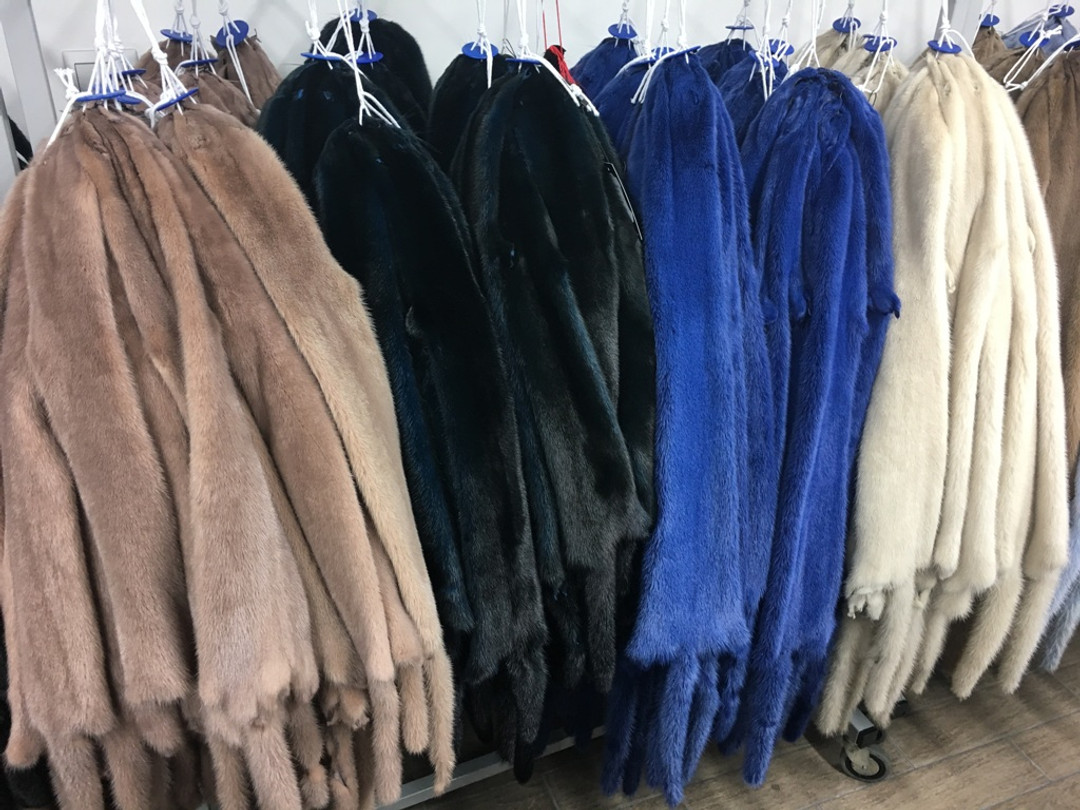 Mink Pelts in colors