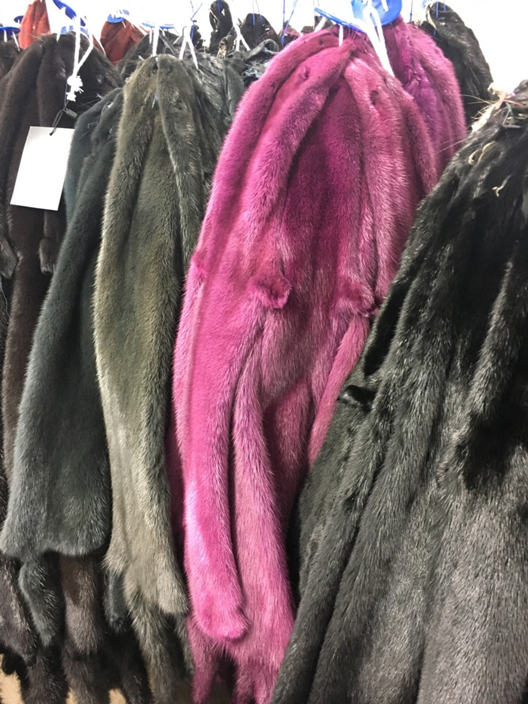 Mink Pelts in colors