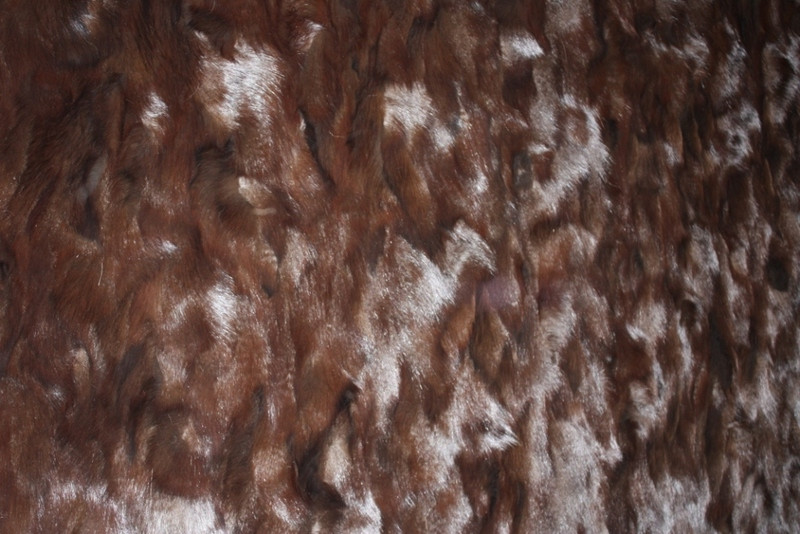 Brown Fox  Sectional Fur Plate