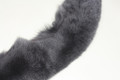 Blue Gray  Fox  Fur   Shawl Collar