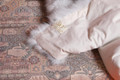 Blue Fox Fur Blanket  Throw Bedspread Blue Fox Fur Blanket  Throw Bedspread