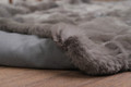 Gray  Rex  Fur Christmas Tree Skirt
