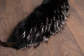 Black  Fox Fur  Collar  Silver Tips