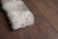 Platinum Fox Fur Collar  Platinum Fox Fur Collar