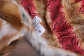  Mens Long Red   Fox Fur Coat  All sizes