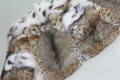 Lynx Fur Coat with Spotted White Fox Fur Collar and Cuffs Hip Length