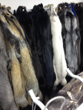 Fox fur pelts