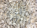 Bobcat lynx belly Fur plate