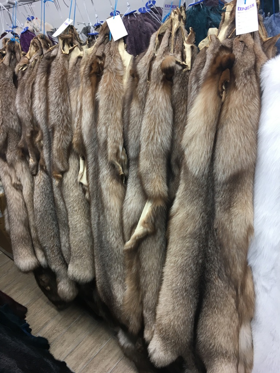 animal fox fur