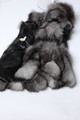 Blue Frost Fox Fur Jacket Hooded Leather Sleeves Waist