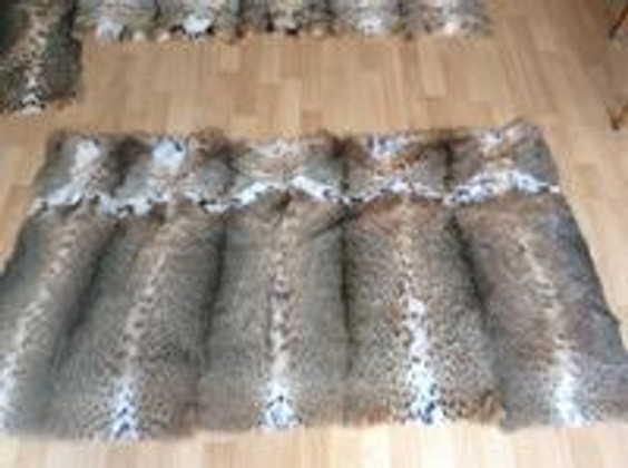 Lynx  Fur Coats