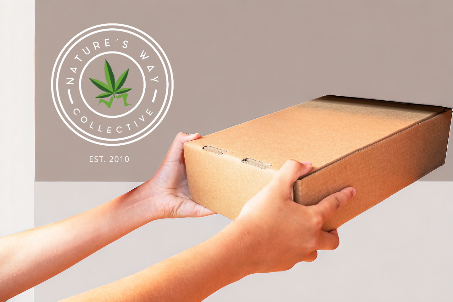 Online Cannabis Delivery vs. Storefront: Understanding the Differences Online Cannabis Delivery vs. Storefront: Understanding the Differences