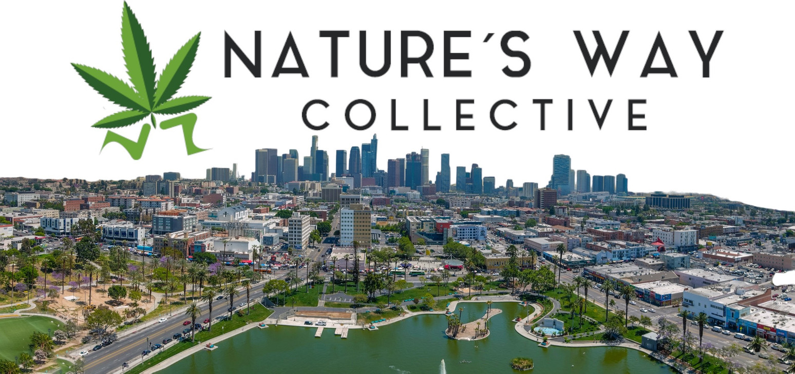 Nature's Way Delivery: Revolutionizing Online Delivery in Los Angeles with Psychedelic Mushrooms and Marijuana Nature's Way Delivery: Revolutionizing Online Delivery in Los Angeles with Psychedelic Mushrooms and Marijuana