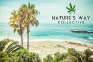 Discovering Natures Way Delivery: The Premier Online Delivery Service in Orange County, California